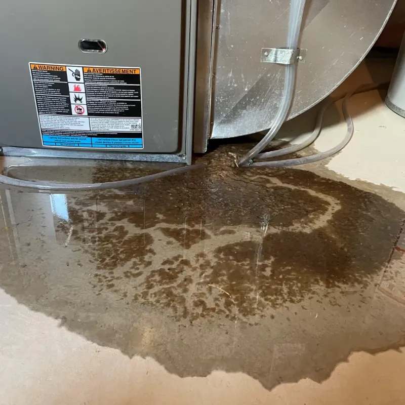 Appliance Leak Cleanup in Pineville, KY